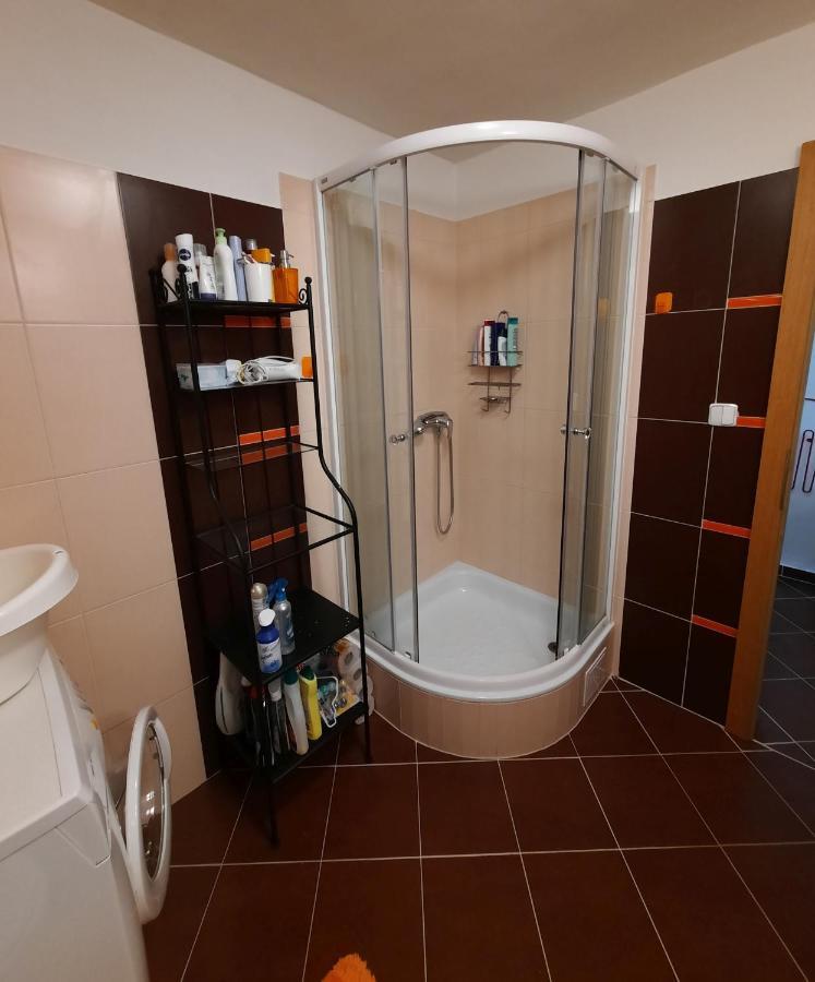Apartman Lesna Nova Lesna Exterior photo